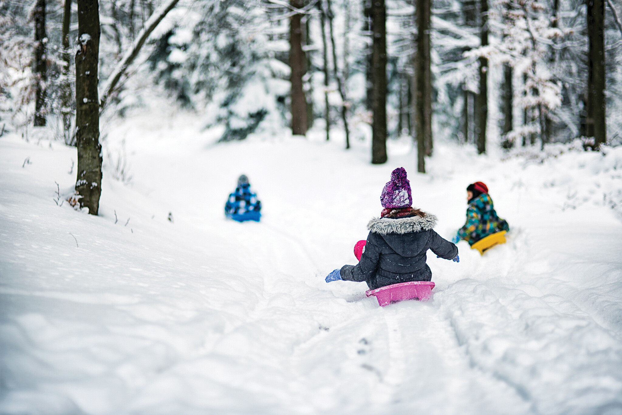 The Best Spots for Sledding, Tubing and Other Snowy Adventures in Rhode