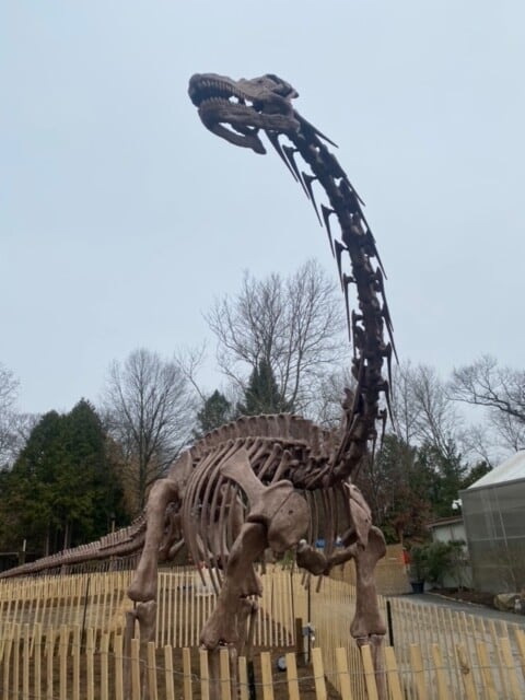 Dinosaurs Are Now Among Us At Roger Williams Park Zoo Rhode Island