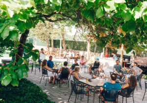 Beer Garden Summer Edited