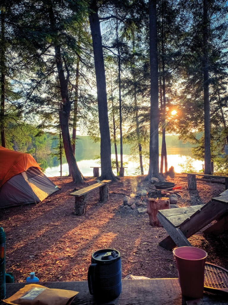 Morning Coffee In The Woods