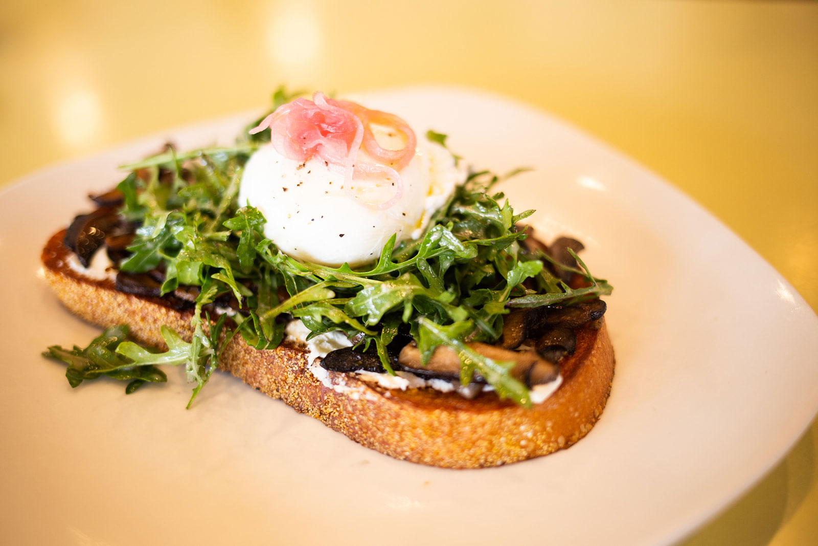 All Favorites Cafe