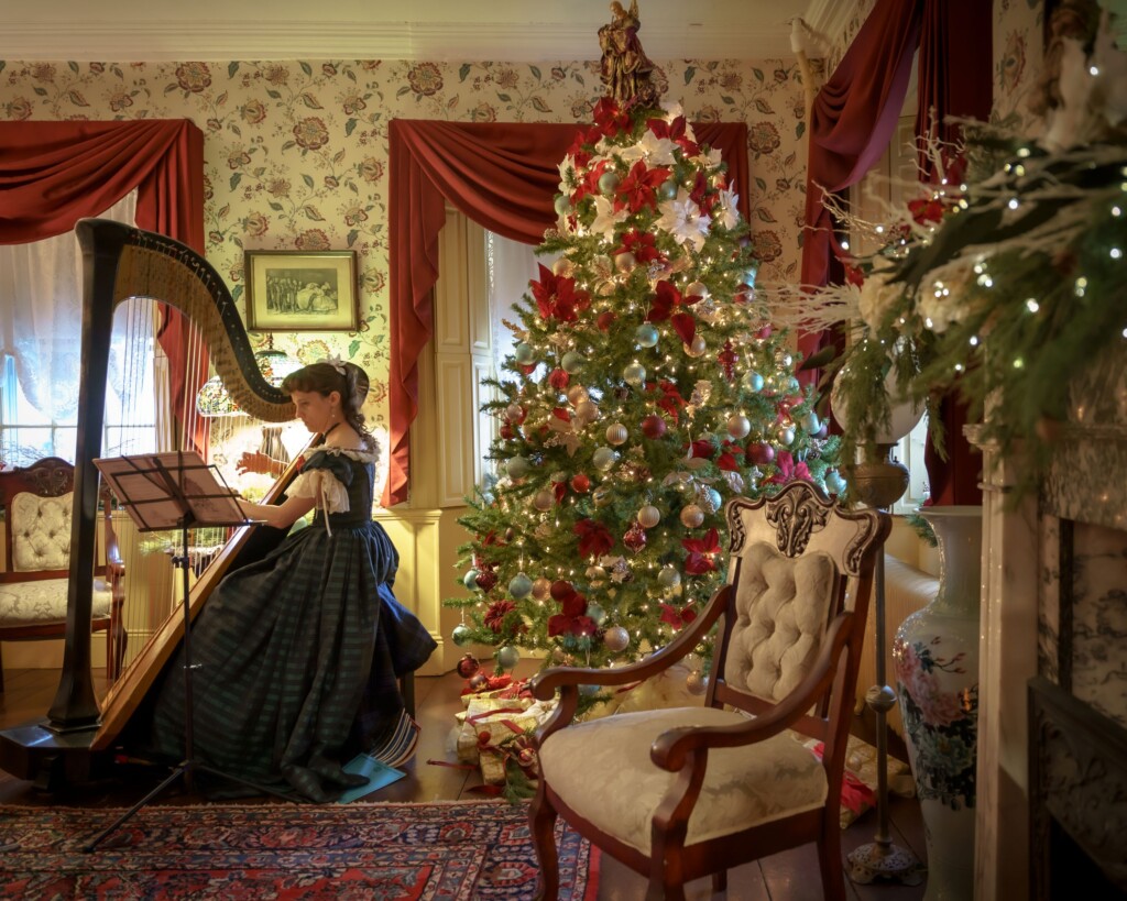 Harpist At Hearthside Christmas Lr Dshun 121122