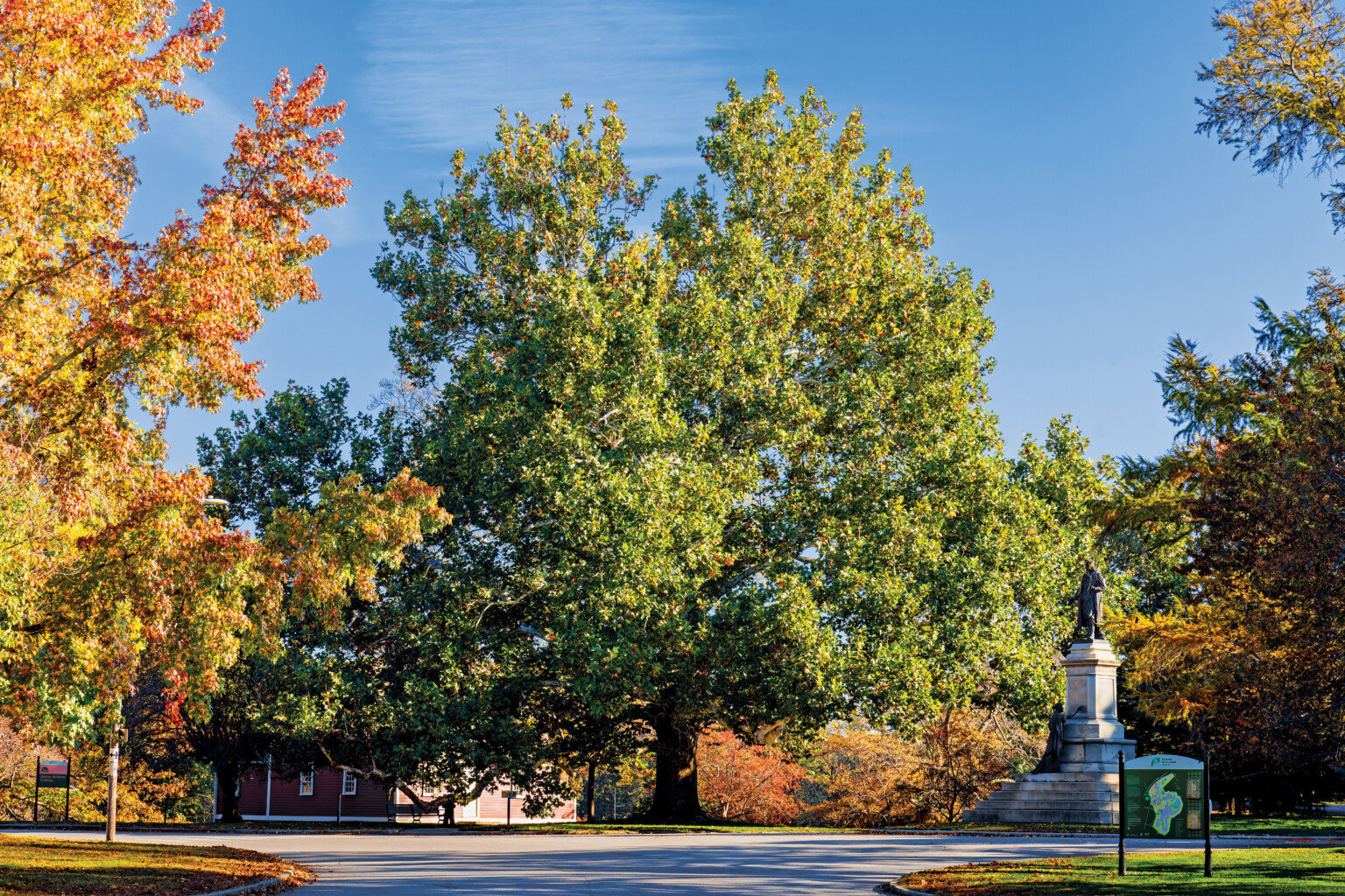 Exploring the Grand Trees of Rhode Island Rhode Island Monthly