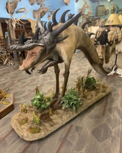 Life Sized Croc A Saurus Taxidermy By Nature S Design