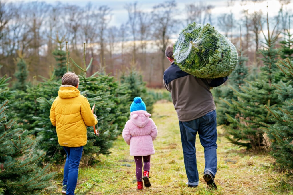 Happy Family, Man And Two Children With Christmas Tree On Fir Tree Cutting Plantation. Preschool Girl, Kid Boy And Father Choosing, Cut And Felling Own Xmas Tree In Forest, Family Tradition In Germany