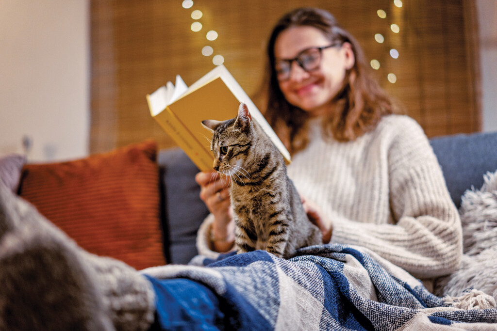 Сozy Winter Evening At Home,woman Sitting On The Sofa With A Gray Cat In Her Arms Reading A Book