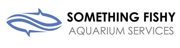 Somethingfishy