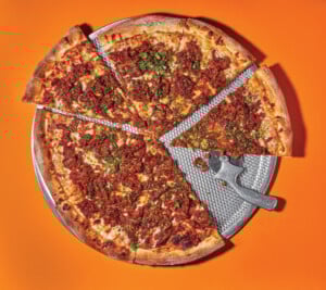 N25EC44PIZ N25ec44piz