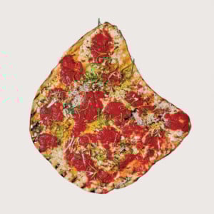 N25EC46PIZ_silo N25ec46piz Silo