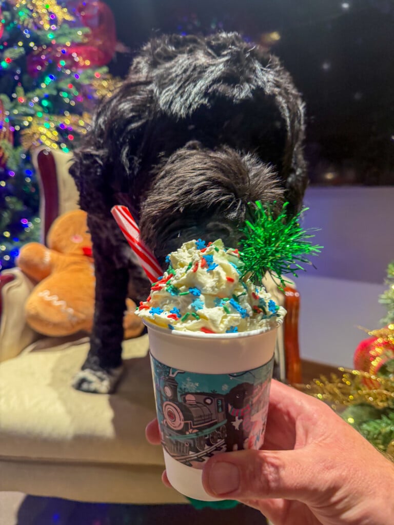 Track 15 Hot Chocolate Enzo