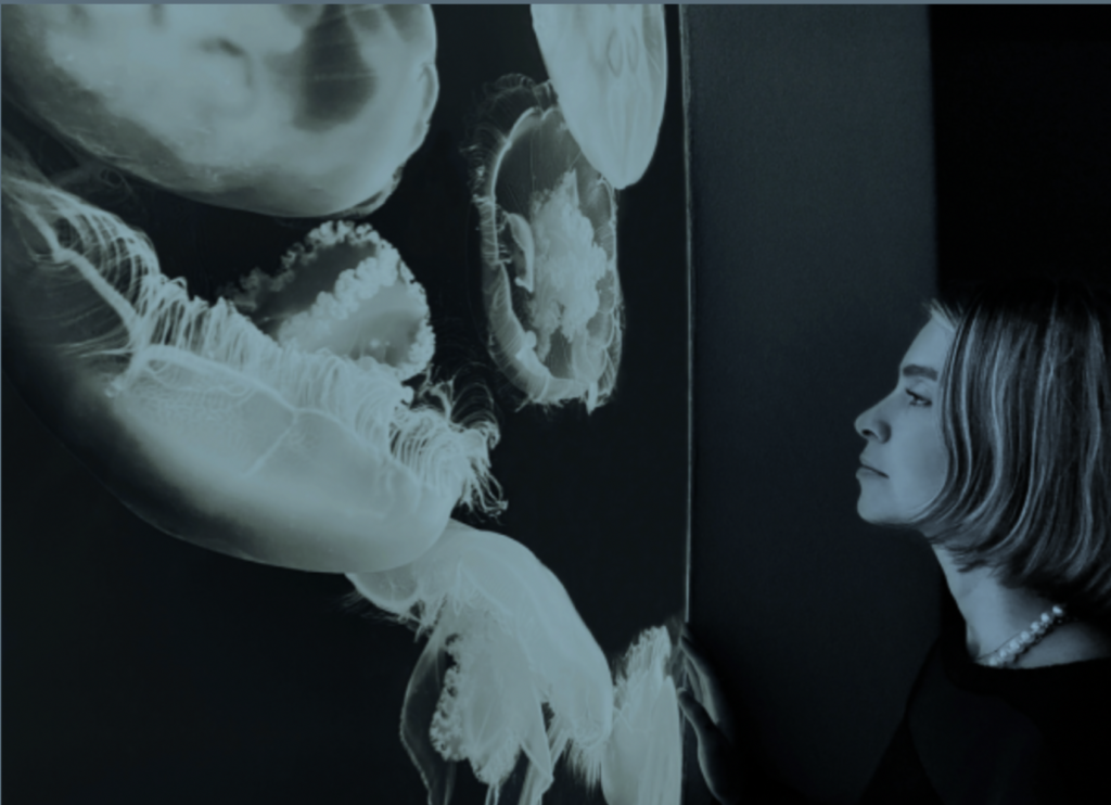 Screenshot 2025 12 04 At 102239am