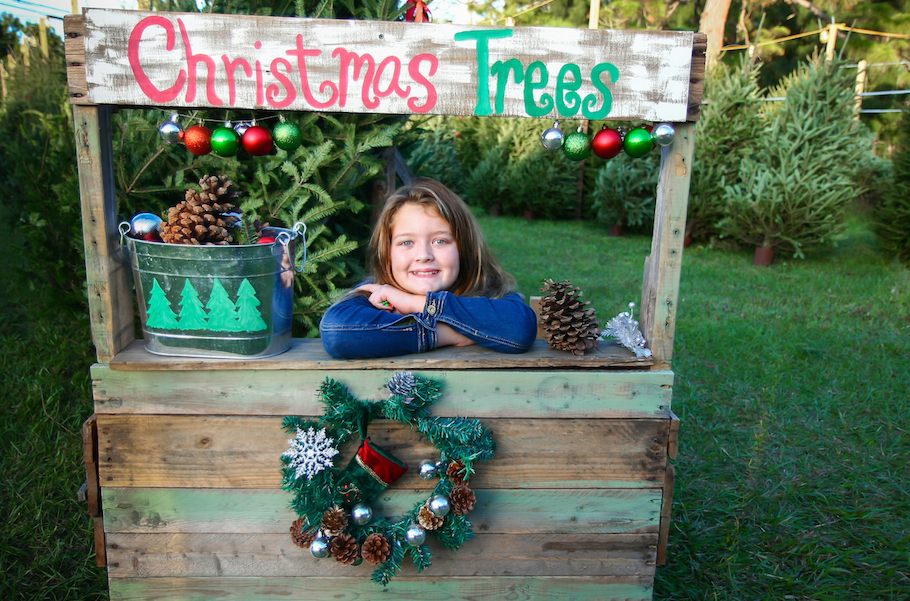 Christmastreefarmstock2