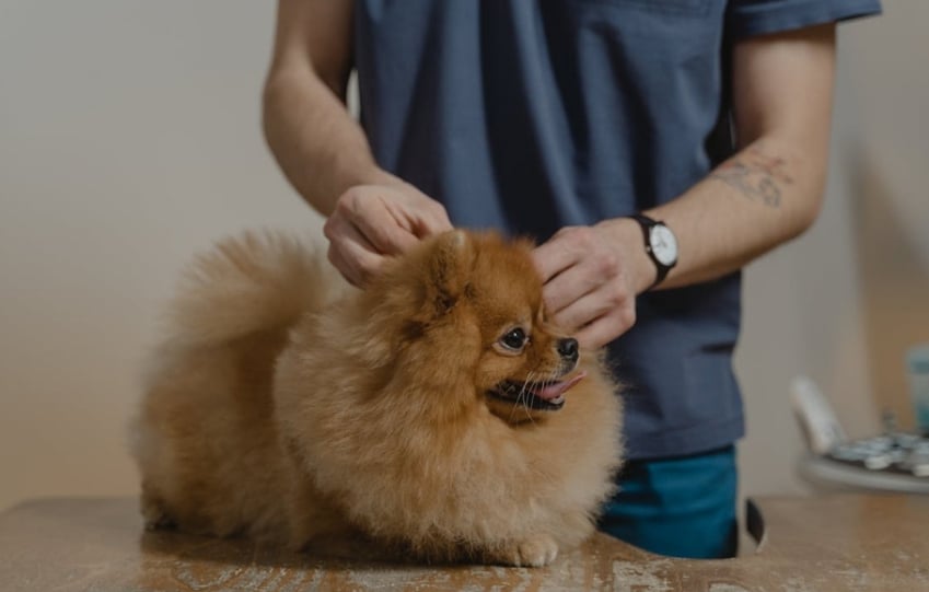 Screenshot 20260310 115001 1