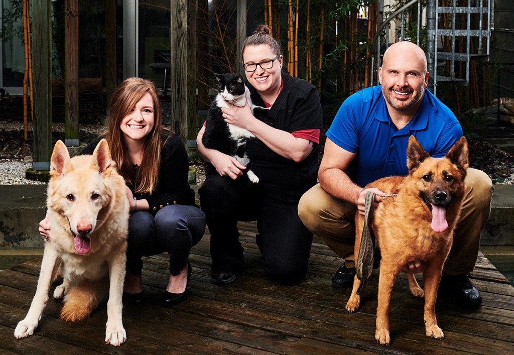 Centralanimalhospital