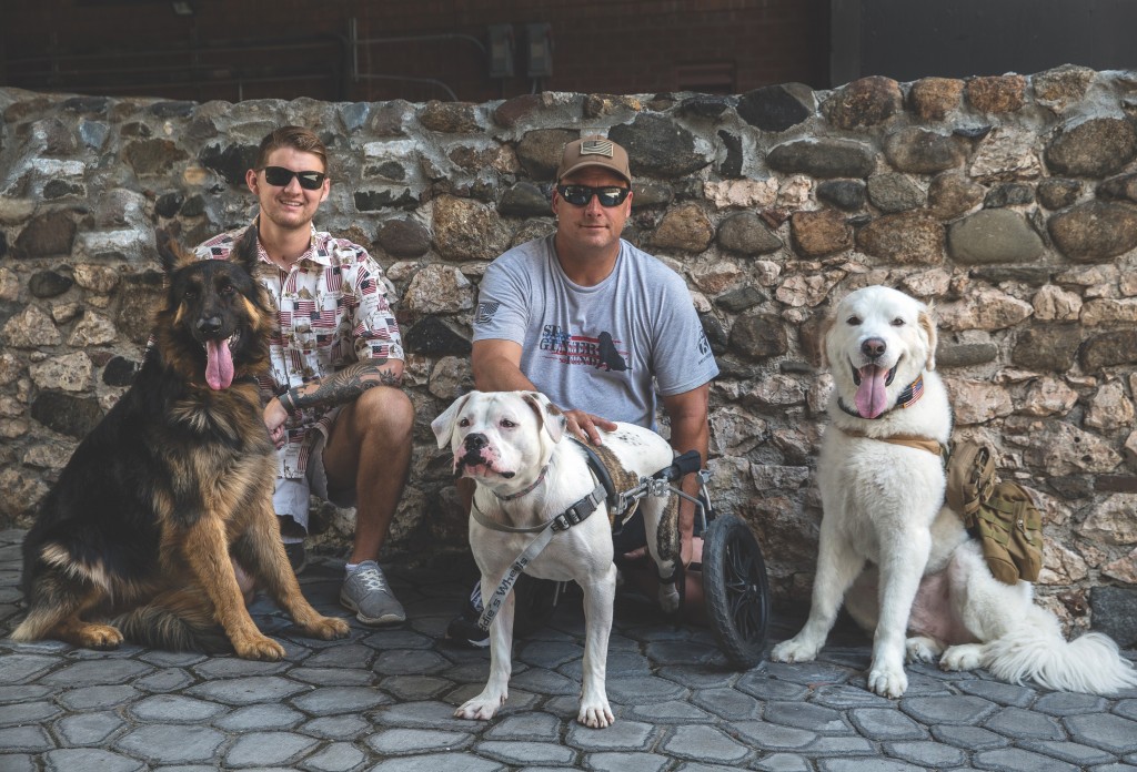 Disableddog5174edit