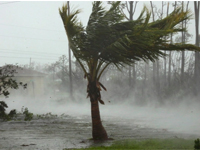 Hurricanearticle