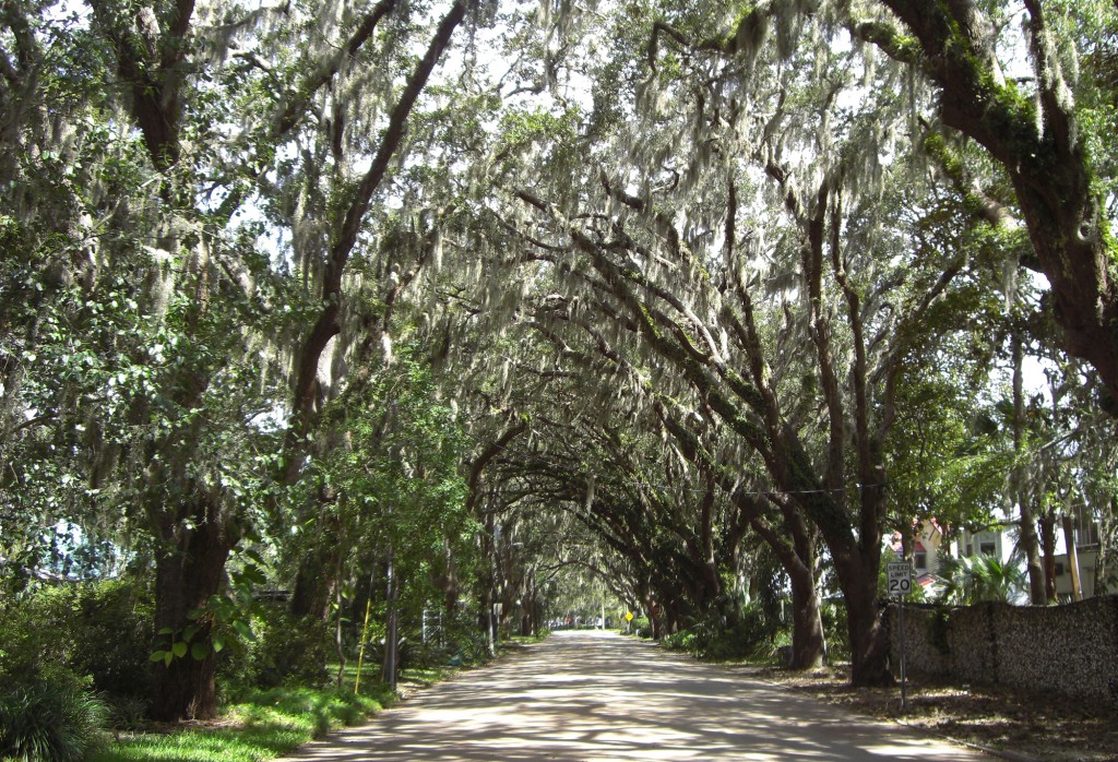 Fountain Of Youth Archaeological Park St. Augustine Florida Usa1