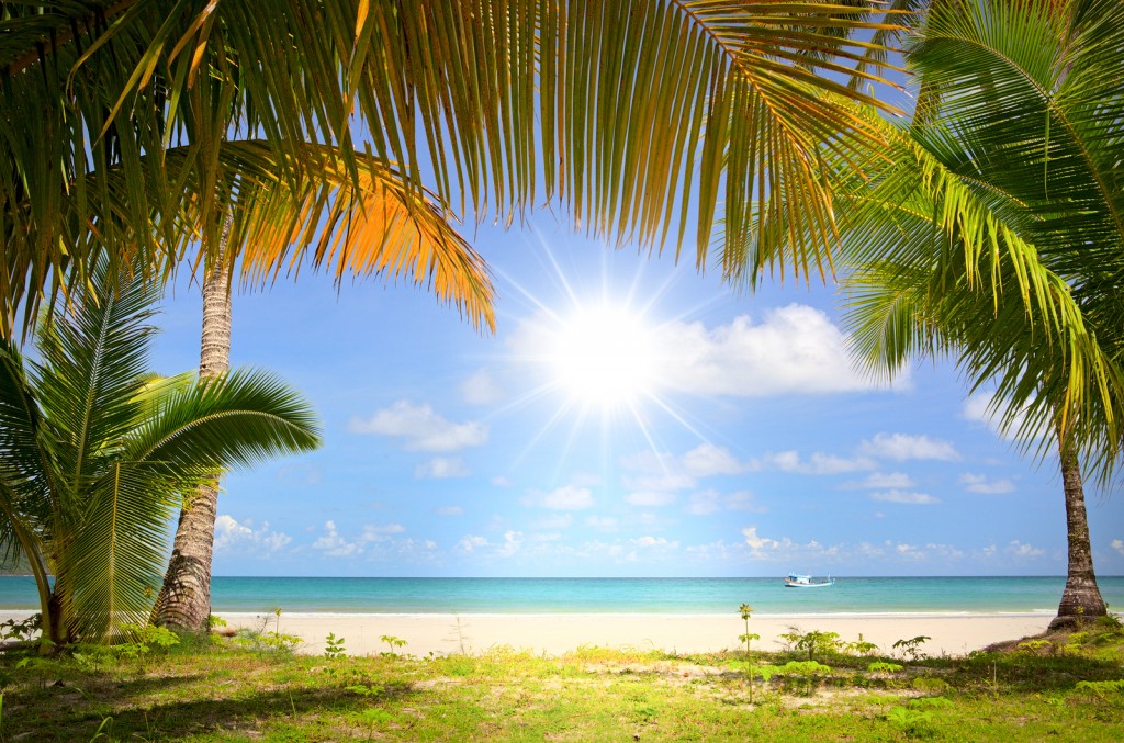 Bigstock Sun In Blue Sky And Palm Trees 26620511