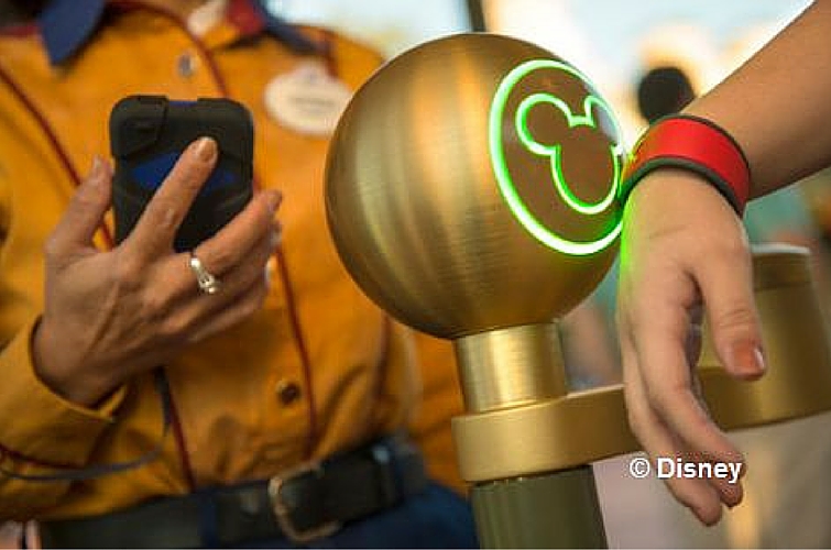 Magic Bands Disney