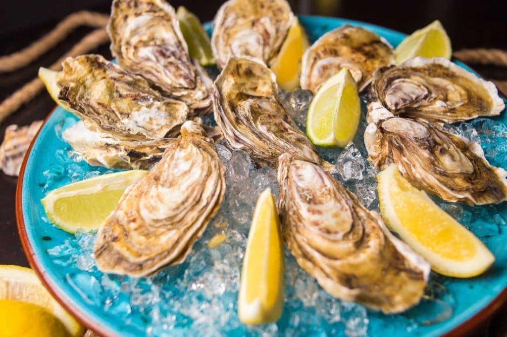Oysters Bigstock 176304817web