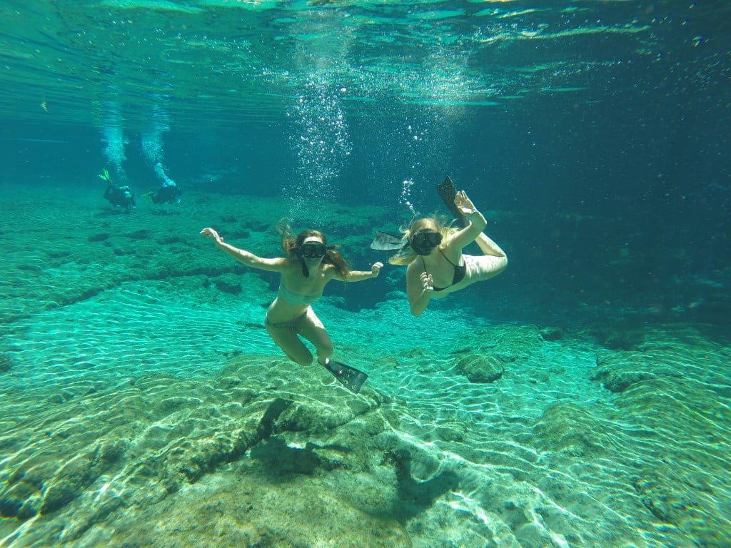 Ginniesprings