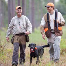 Cut Hunting