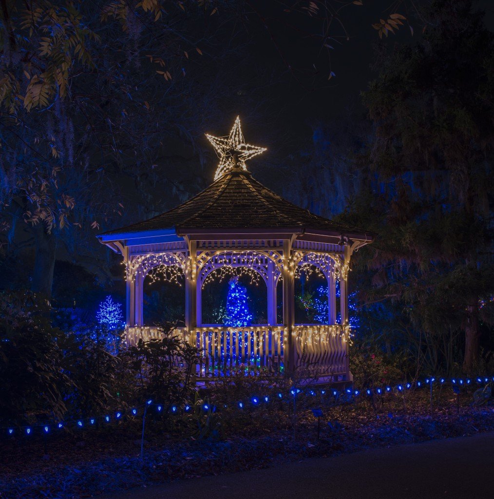 Holidaylights2013010
