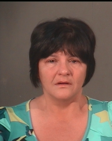 Woman Admits To Attempted Arson