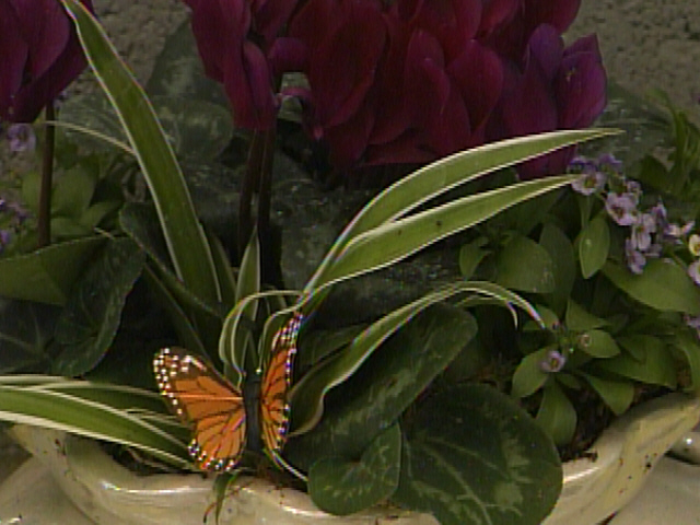 Spring Has Sprung!