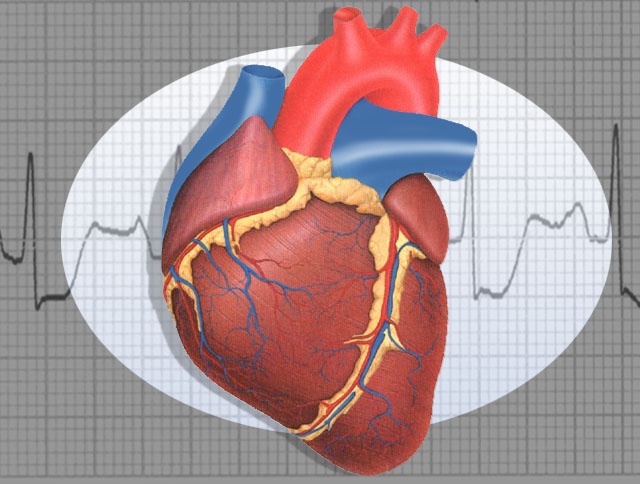 Heart Attacks Affect Men & Women Differently