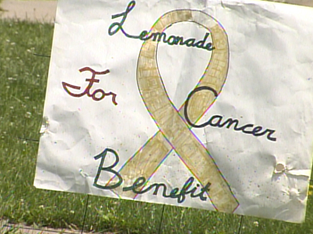 Lemonade Stand Benefit For Cancer Treatment