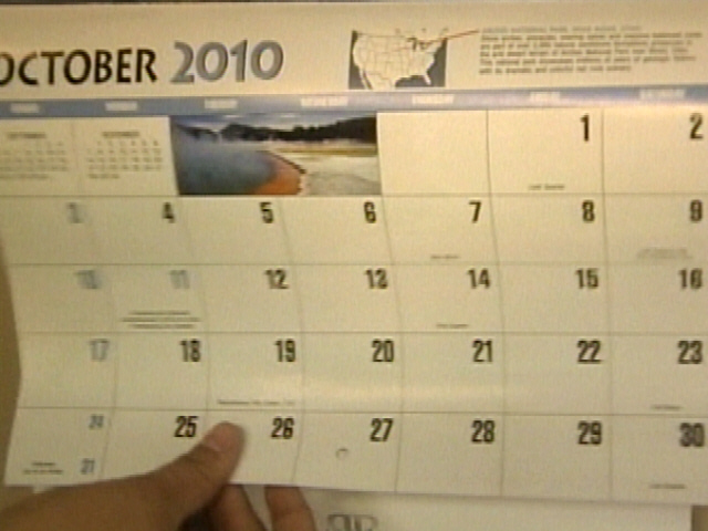 Maternity Leave Decisions