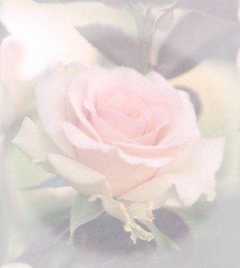 Lois M. Shepherd (november 25, 1932 September 19, 2010)