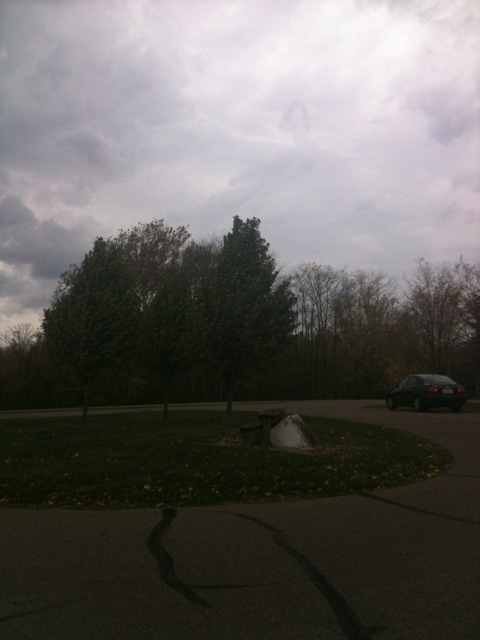 Tree Limbs Power Lines Damaged In Big Storm