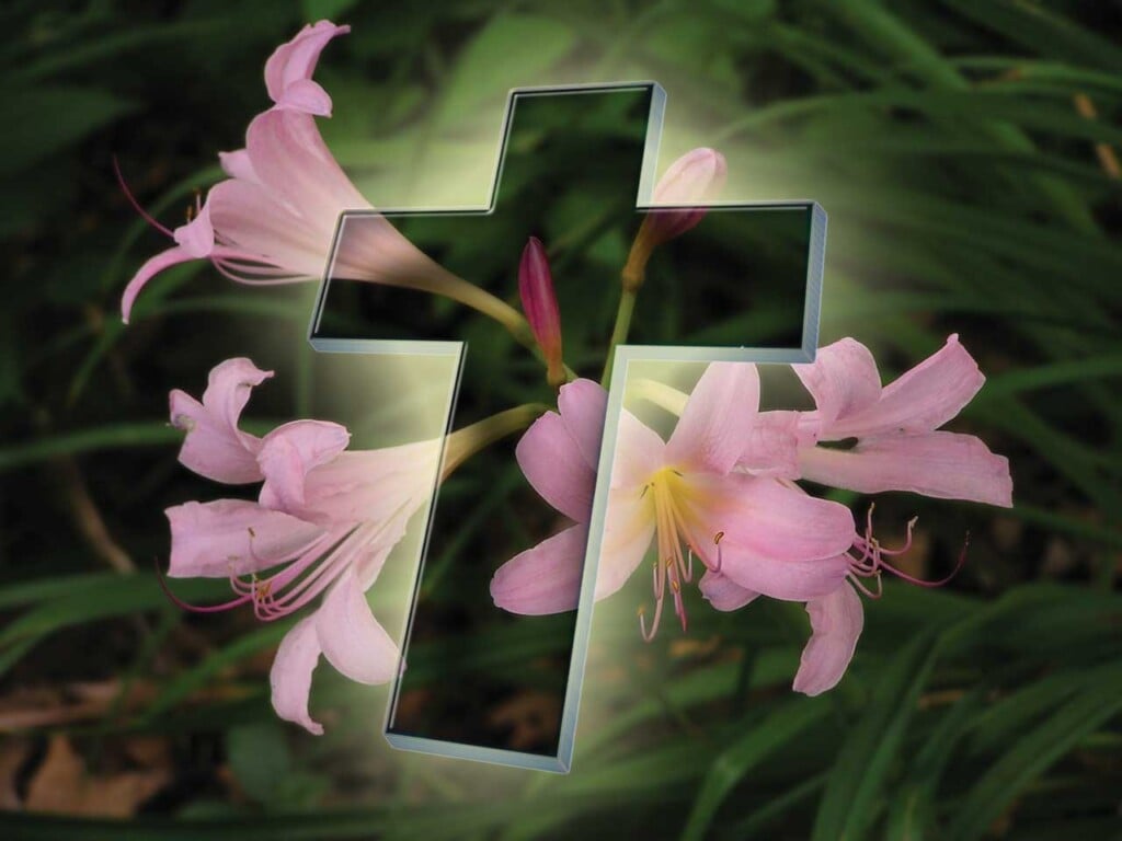 Moving Toward Easter