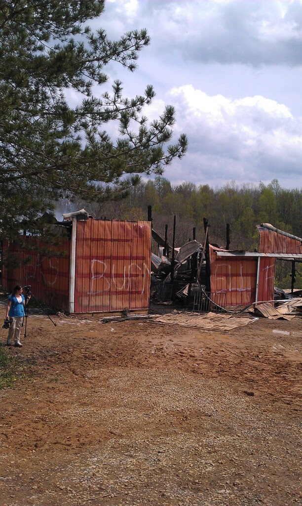 Arson Ruled In Fire That Killed 8 Horses