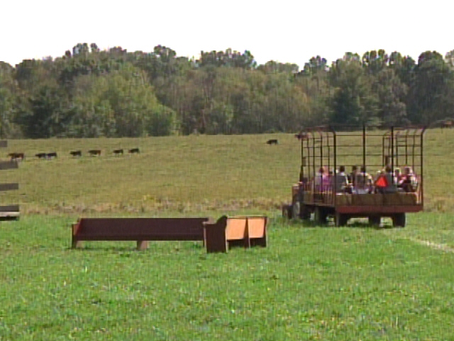 An A Maize Ing Maze Brings Seasonal Fun