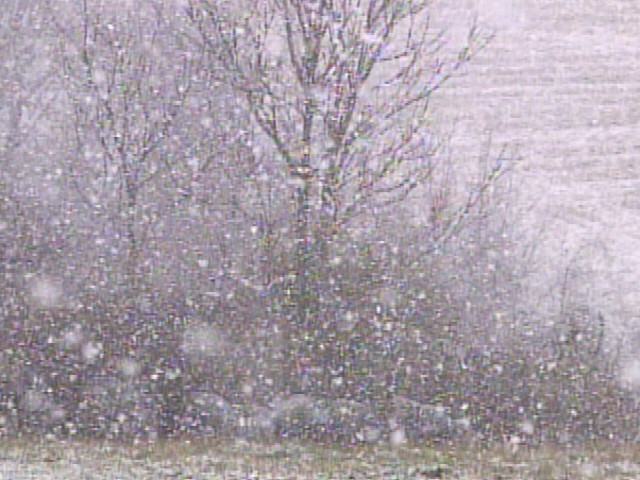 Snow Emergency Levels Explained