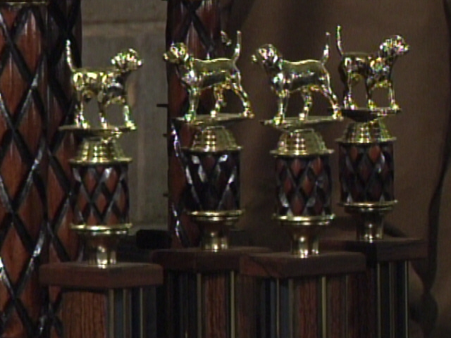 Coshocton Hosts 21st Beagle Nationals