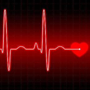 Educating Schools On Cardiac Arrest