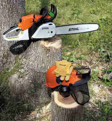 Chainsaw Masterpiece
