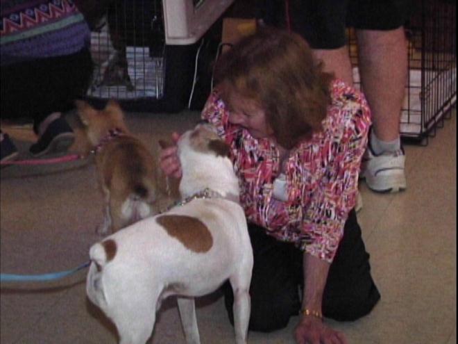 Helping Man's Best Friend