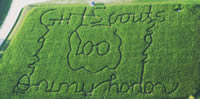 Corn Maze Opens For Season