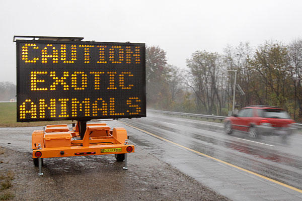Exotic Animal Escape, One Year Later