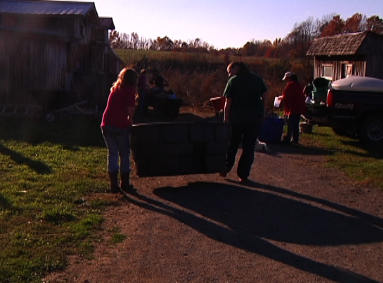Helping Horses In Need