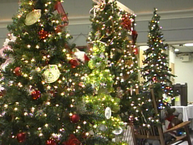 Festival Of Trees 2012