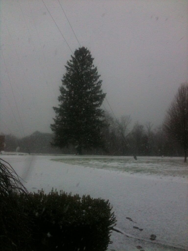 Winter Storm Warning In Effect