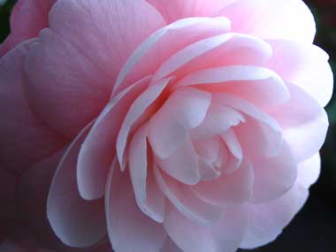 Susan Lorraine Sotherden (october 28, 1947 December 29, 2012)