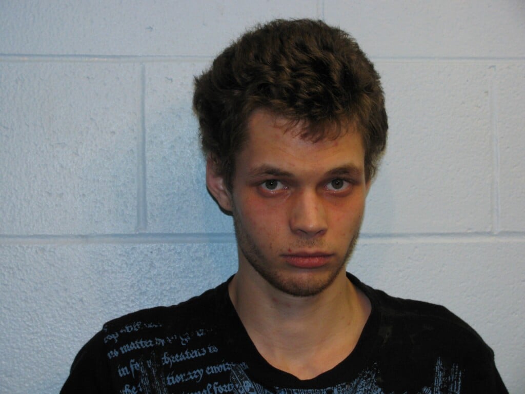 Mother Pleads Guilty To Child Endangering Charges