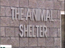 Pet Adoption Events